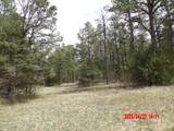 23704 Verde Loma - Photo 5