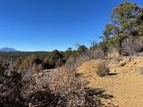 15842 Ponderosa Loop - Photo 14