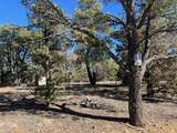 15842 Ponderosa Loop - Photo 17
