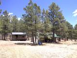 11081 Cimarron Drive - Photo 1