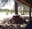 11081 Cimarron Drive - Photo 18