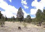 11081 Cimarron Drive - Photo 30