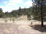 11081 Cimarron Drive - Photo 35