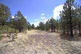11081 Cimarron Drive - Photo 36