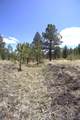 11081 Cimarron Drive - Photo 37