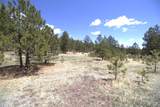 11081 Cimarron Drive - Photo 41