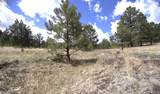 11081 Cimarron Drive - Photo 42