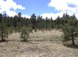 11081 Cimarron Drive - Photo 43