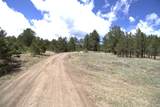 11081 Cimarron Drive - Photo 46