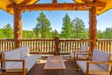 14552 Timber Valley Drive - Photo 10