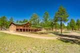 14552 Timber Valley Drive - Photo 12