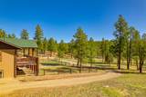 14552 Timber Valley Drive - Photo 13
