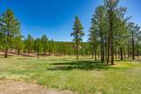 14552 Timber Valley Drive - Photo 14
