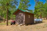14552 Timber Valley Drive - Photo 16