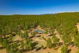 14552 Timber Valley Drive - Photo 47