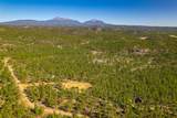 14552 Timber Valley Drive - Photo 48