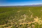 14552 Timber Valley Drive - Photo 49