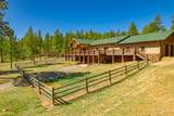 14552 Timber Valley Drive - Photo 5
