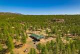 14552 Timber Valley Drive - Photo 50