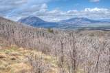 35 Raspberry Mountain Ranch - Photo 3