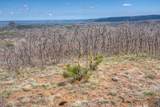 35 Raspberry Mountain Ranch - Photo 8