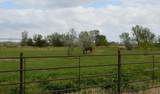 22661 Road 24 - Photo 45