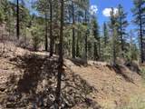 000 Timber Ridge Filing Tract 24 - Photo 10