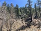 000 Timber Ridge Filing Tract 24 - Photo 11