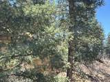 000 Timber Ridge Filing Tract 24 - Photo 14