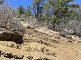 000 Timber Ridge Filing Tract 24 - Photo 16
