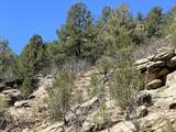 000 Timber Ridge Filing Tract 24 - Photo 19