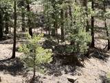 000 Timber Ridge Filing Tract 24 - Photo 2