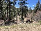 000 Timber Ridge Filing Tract 24 - Photo 6
