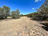 Lot 919 Los Vaqueros Circle - Photo 8