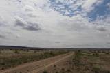  40 Acres Las Animas Ranches - Photo 10