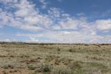  40 Acres Las Animas Ranches - Photo 5