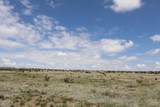  40 Acres Las Animas Ranches - Photo 6