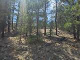 TBD Silver Spruce Circle - Photo 10
