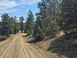 TBD Silver Spruce Circle - Photo 11