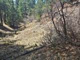 TBD Silver Spruce Circle - Photo 12