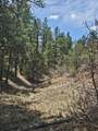 TBD Silver Spruce Circle - Photo 13