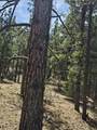 TBD Silver Spruce Circle - Photo 15