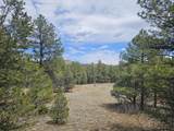 TBD Silver Spruce Circle - Photo 2