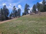 TBD Silver Spruce Circle - Photo 20