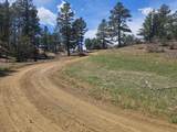 TBD Silver Spruce Circle - Photo 21