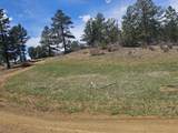 TBD Silver Spruce Circle - Photo 22
