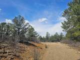 TBD Silver Spruce Circle - Photo 26