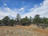 TBD Silver Spruce Circle - Photo 28