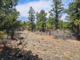 TBD Silver Spruce Circle - Photo 32