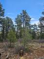 TBD Silver Spruce Circle - Photo 35